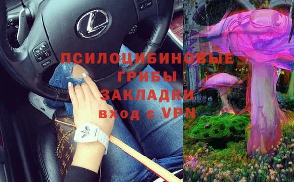 spice Вязьма